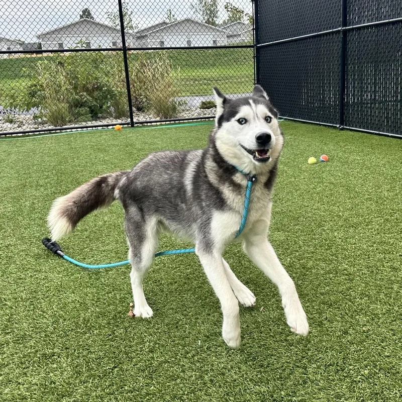 Skye
