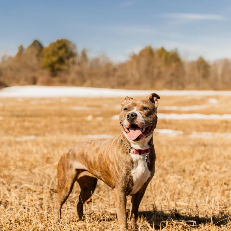 Jezzabelle thumbnail 2