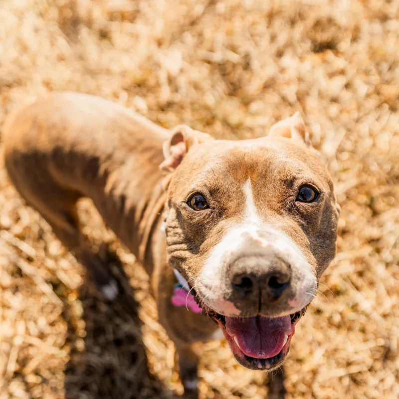 Jezzabelle thumbnail 3