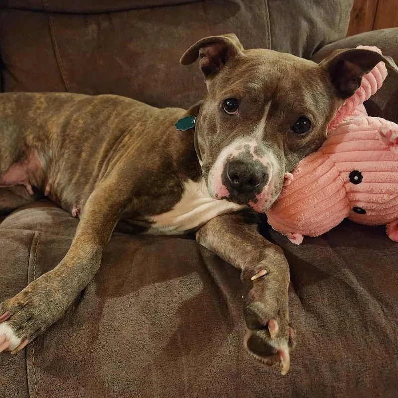 Jezzabelle thumbnail 4