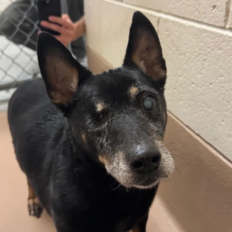 Troubles thumbnail 2