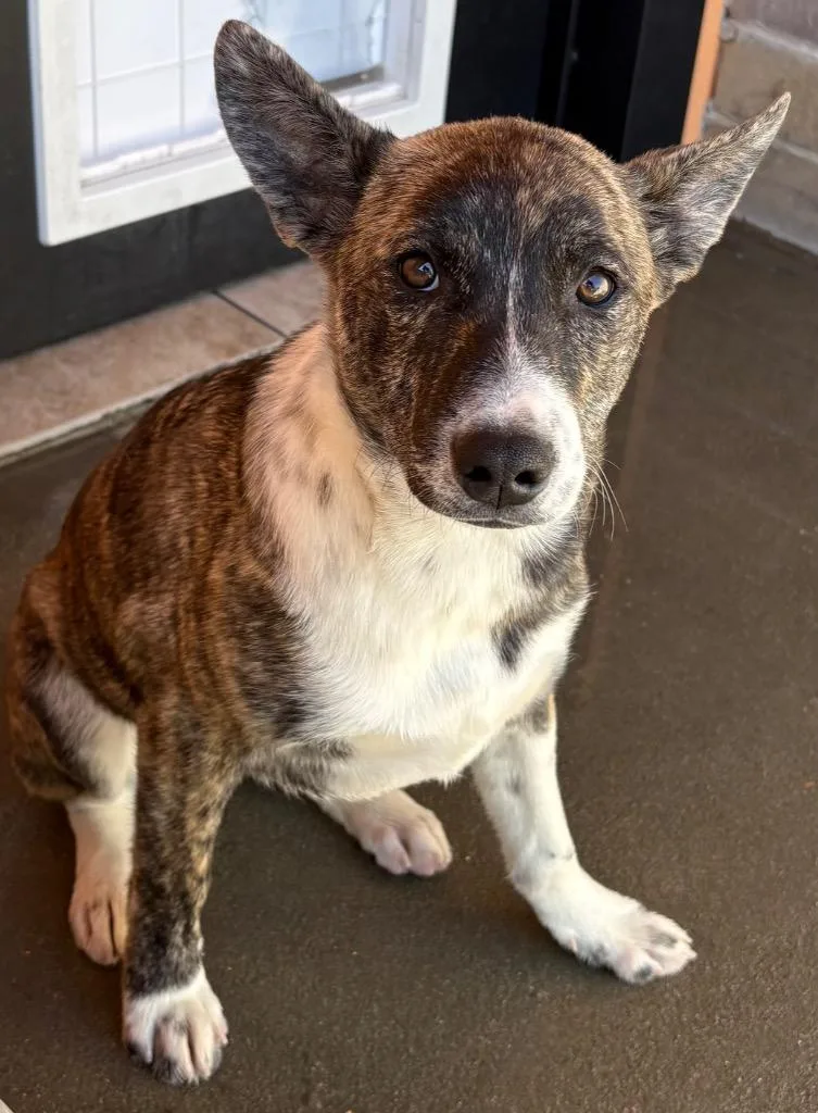 Shimbashi thumbnail 2