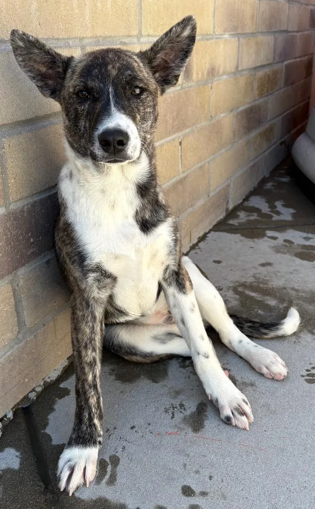 Shimbashi thumbnail 3