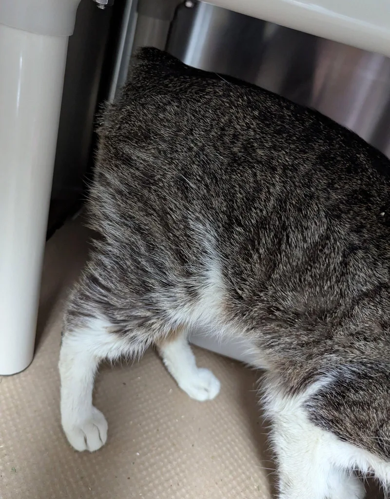 Nairobi River thumbnail 2