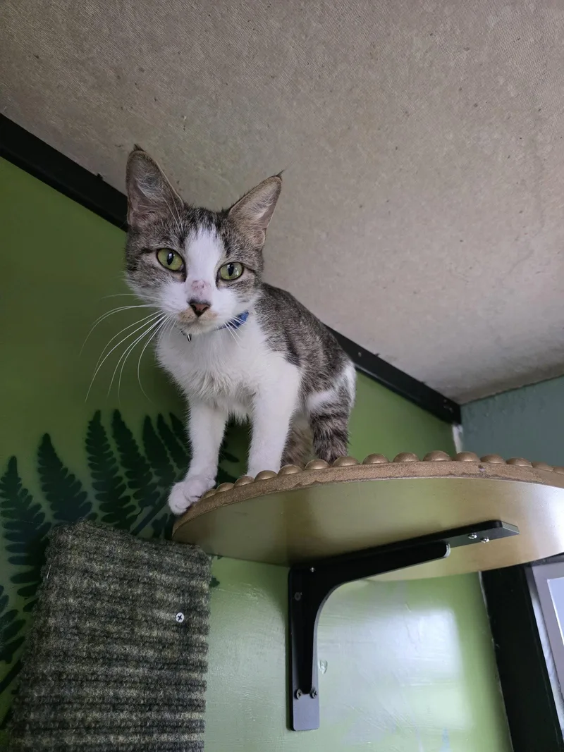 Nairobi River thumbnail 3