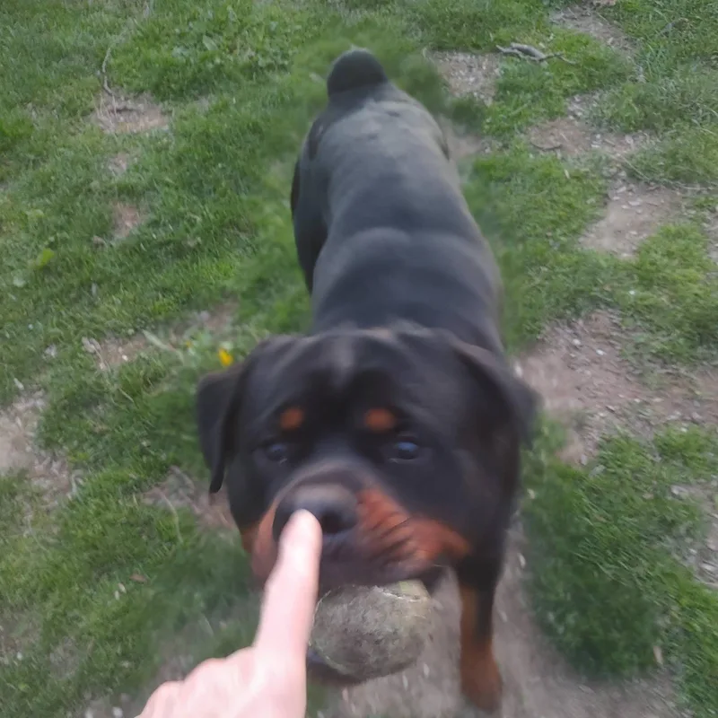 Loki thumbnail 4