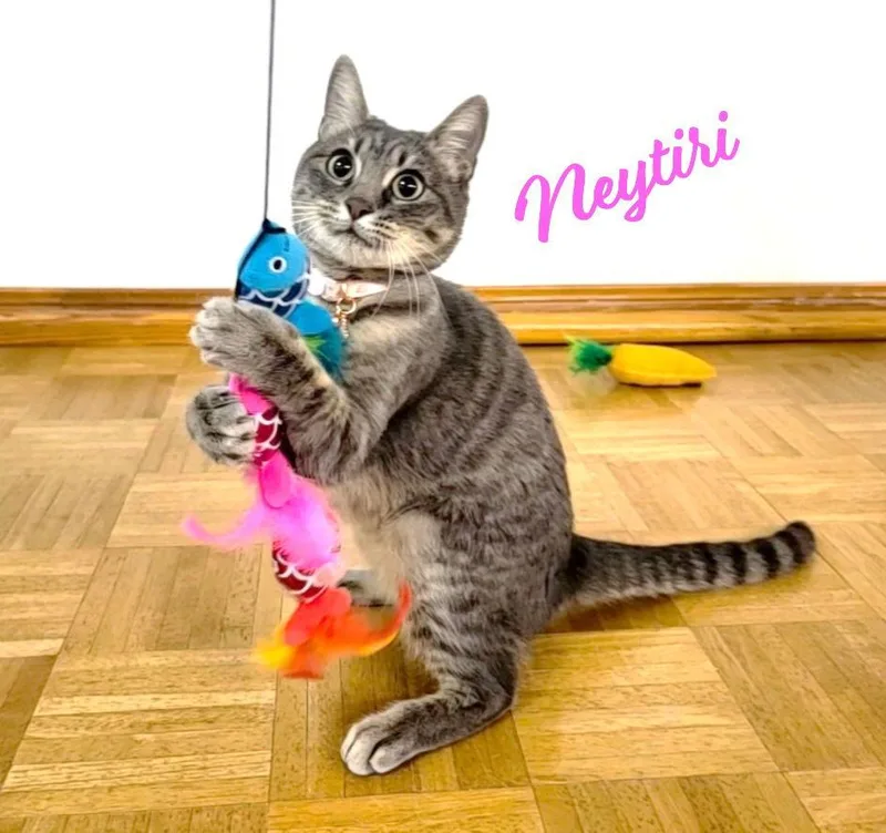 Neytiri Warriorprincess