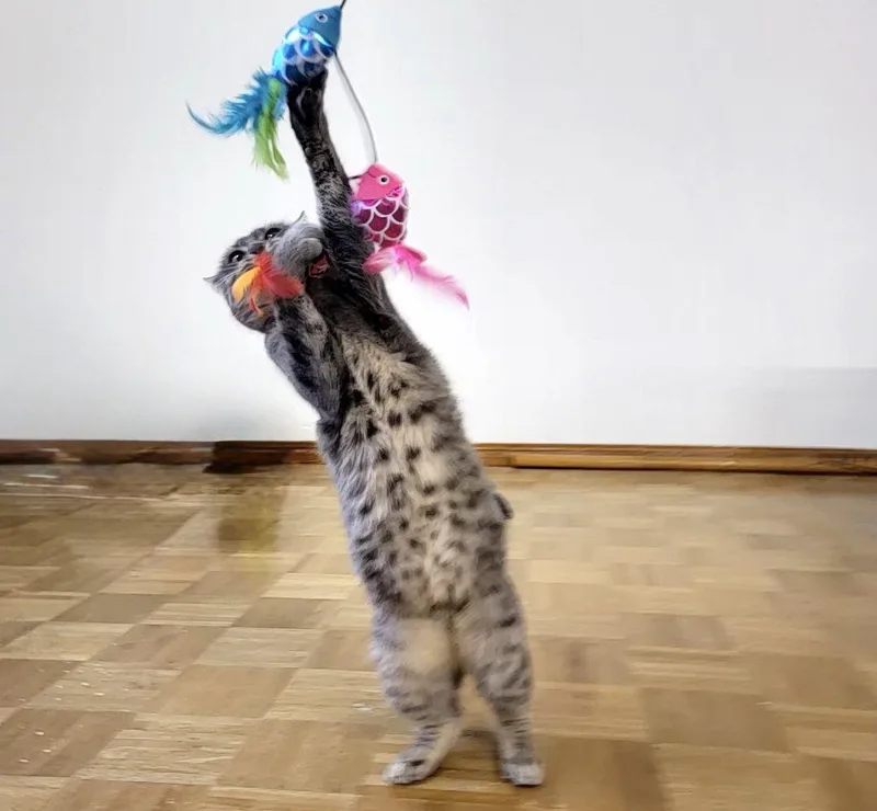 Neytiri Warriorprincess thumbnail 2