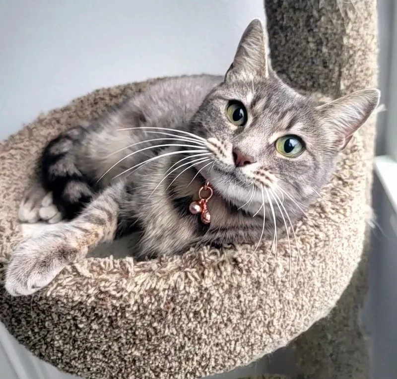 Neytiri Warriorprincess thumbnail 3