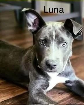 Luna Loo thumbnail 2