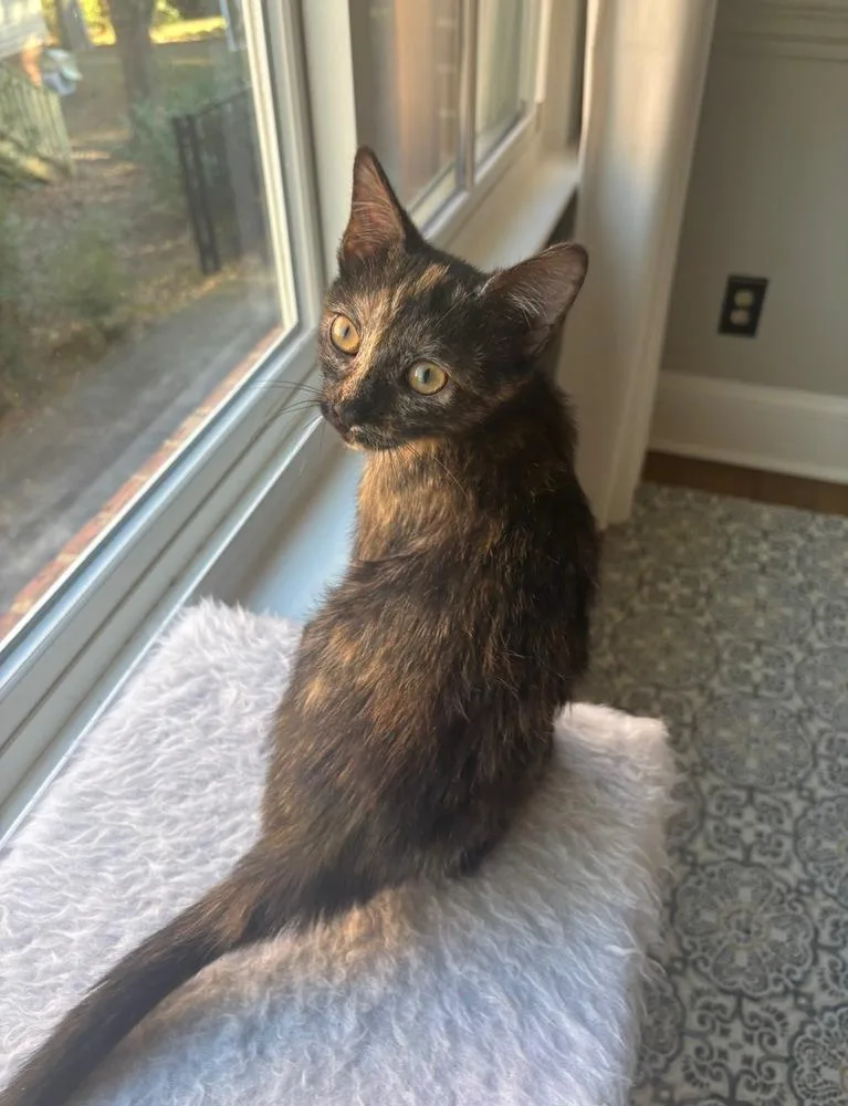 Sprocket thumbnail 3