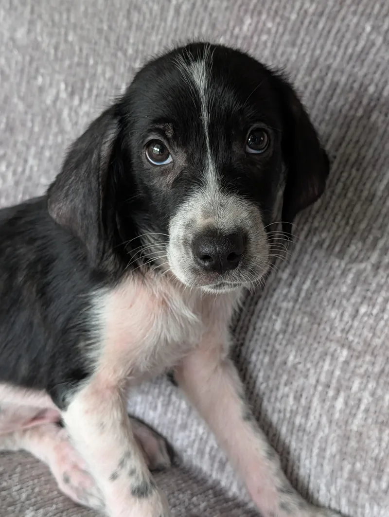Jack