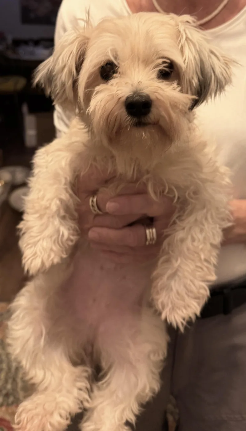 Bonnie