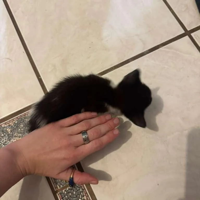 Lyla thumbnail 2