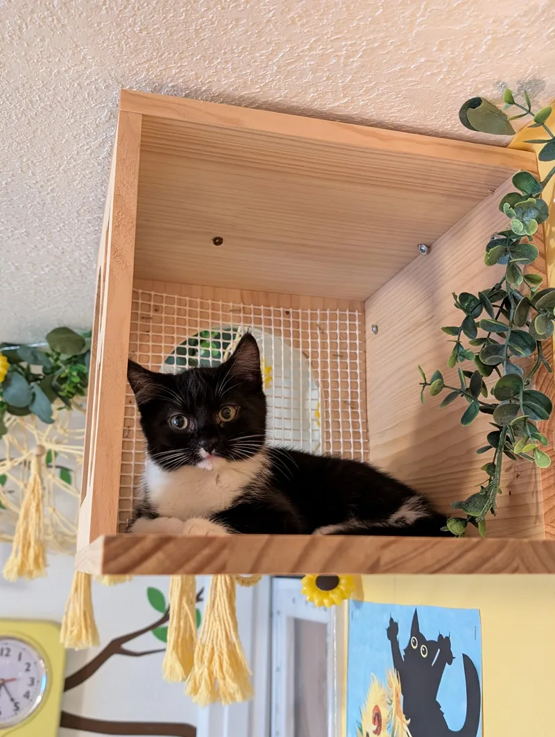 Sprout thumbnail 3