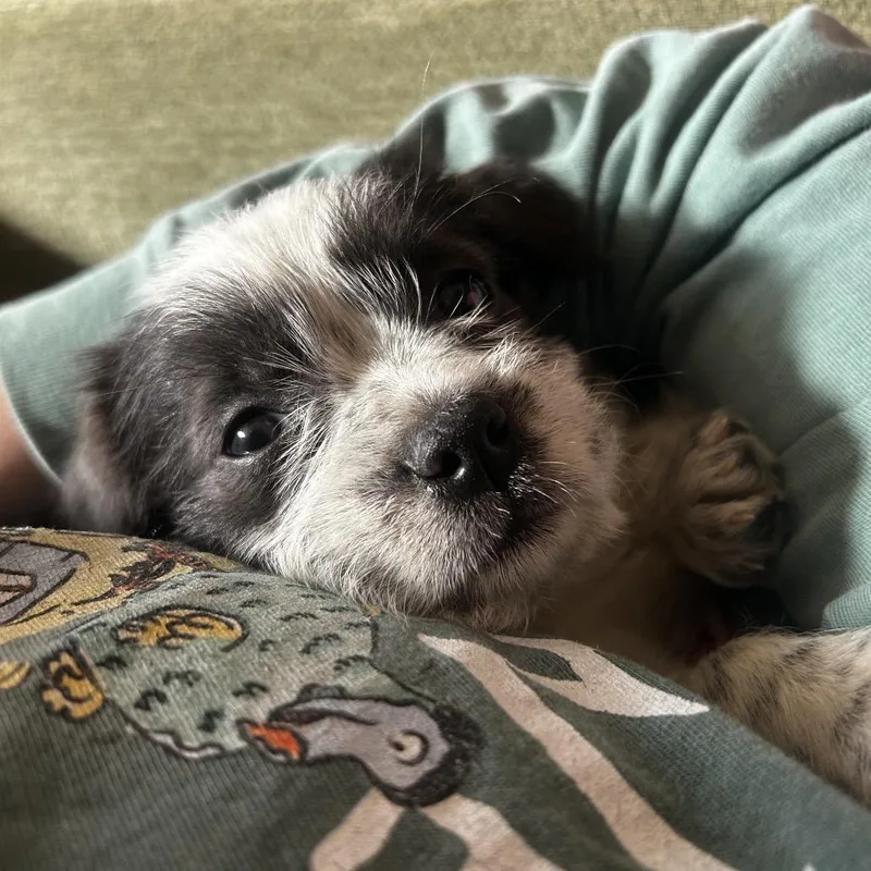 Lillie C thumbnail 3