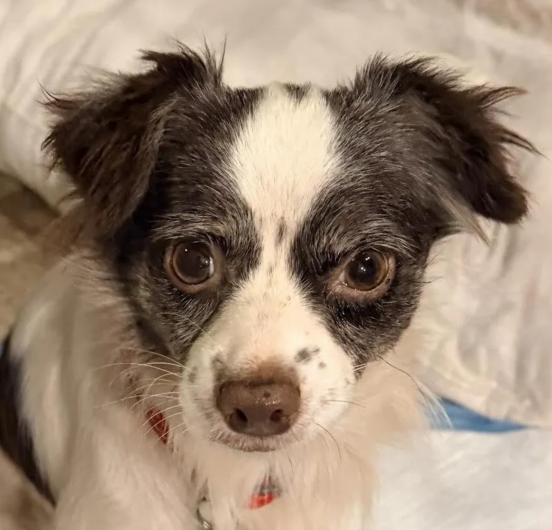 Esther thumbnail 2
