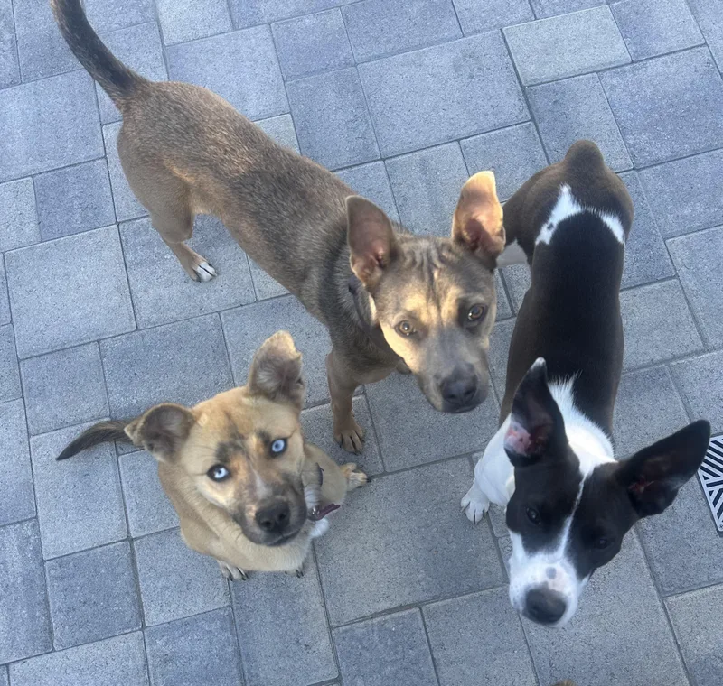 Kira Shakira!! thumbnail 2