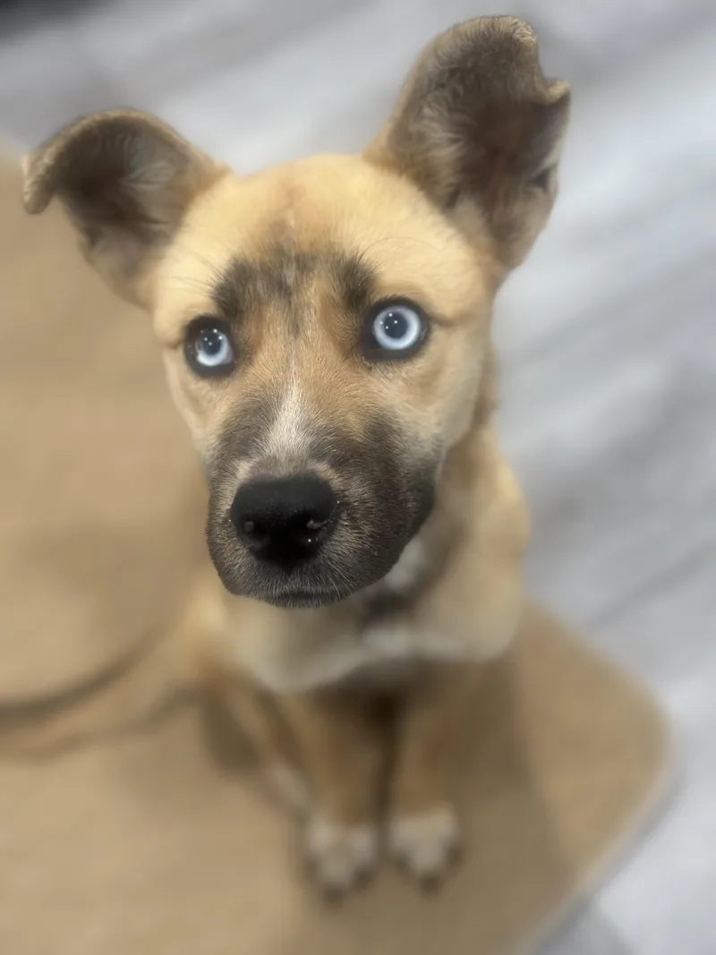 Kira Shakira!! thumbnail 3