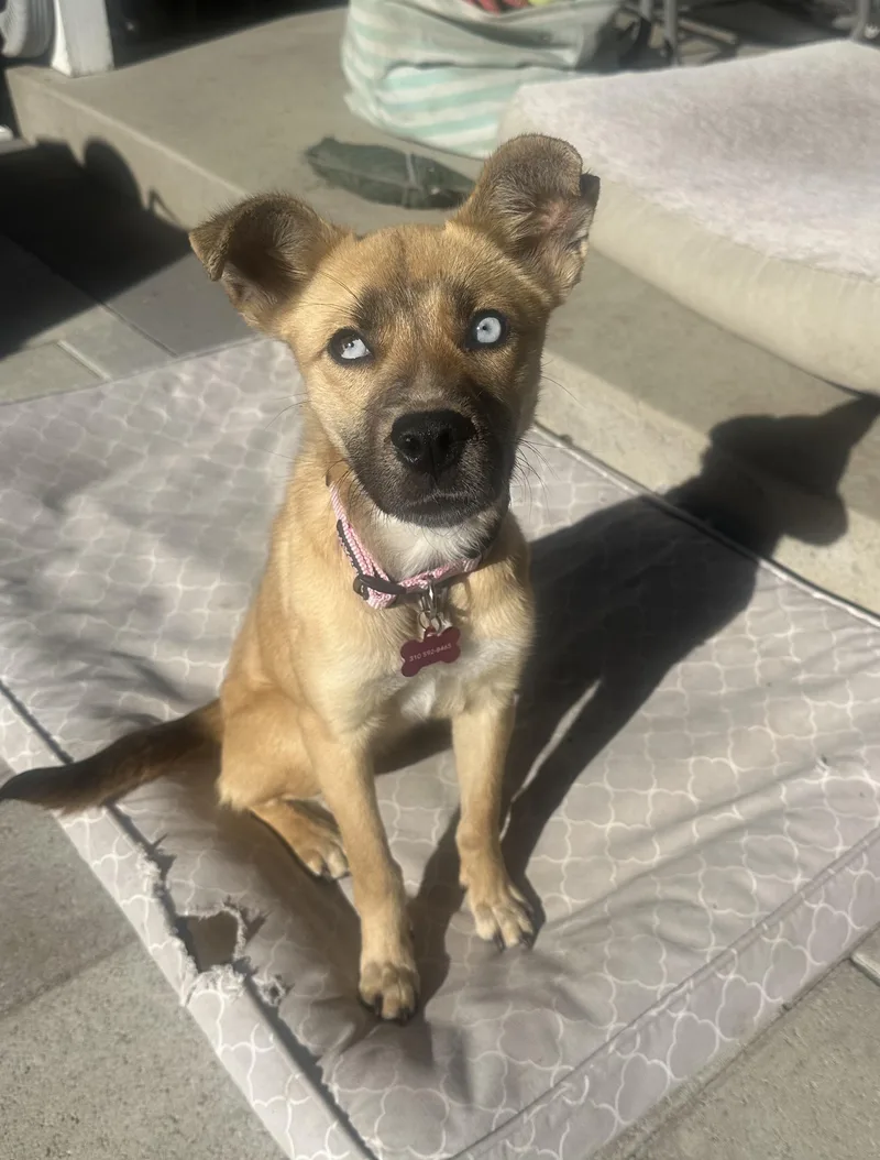 Kira Shakira!! thumbnail 4