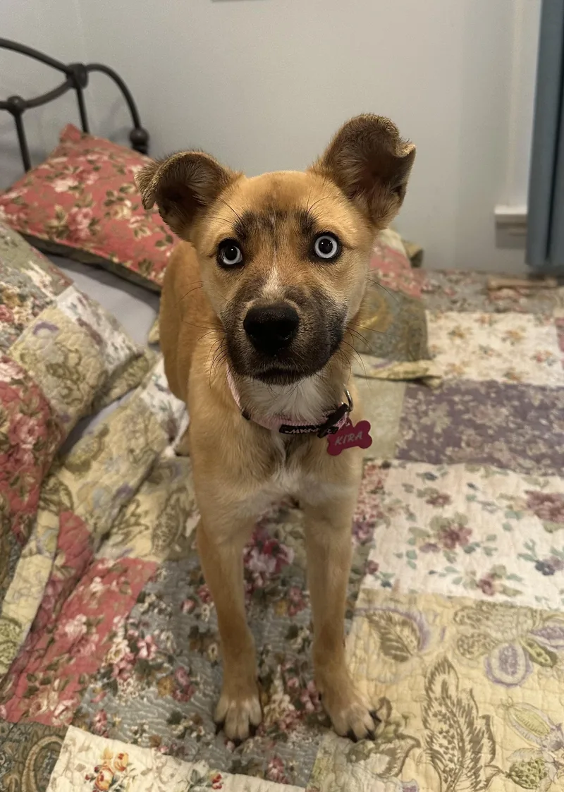 Kira Shakira!! thumbnail 5