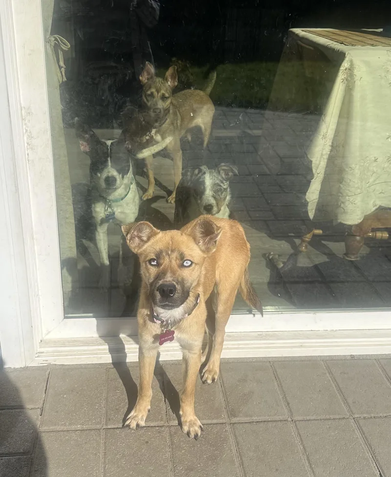 Kira Shakira!! thumbnail 6