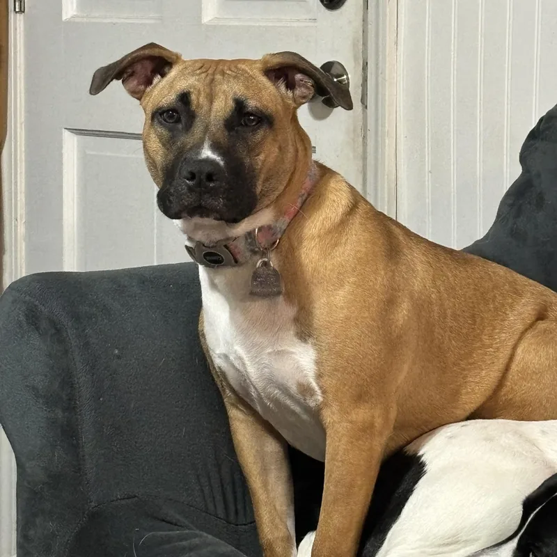 ~ Courtesy ~ Lil thumbnail 2