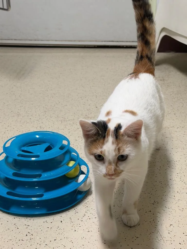 Winter thumbnail 3