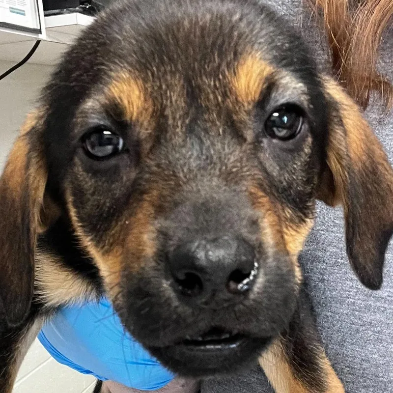 Discovery thumbnail 2