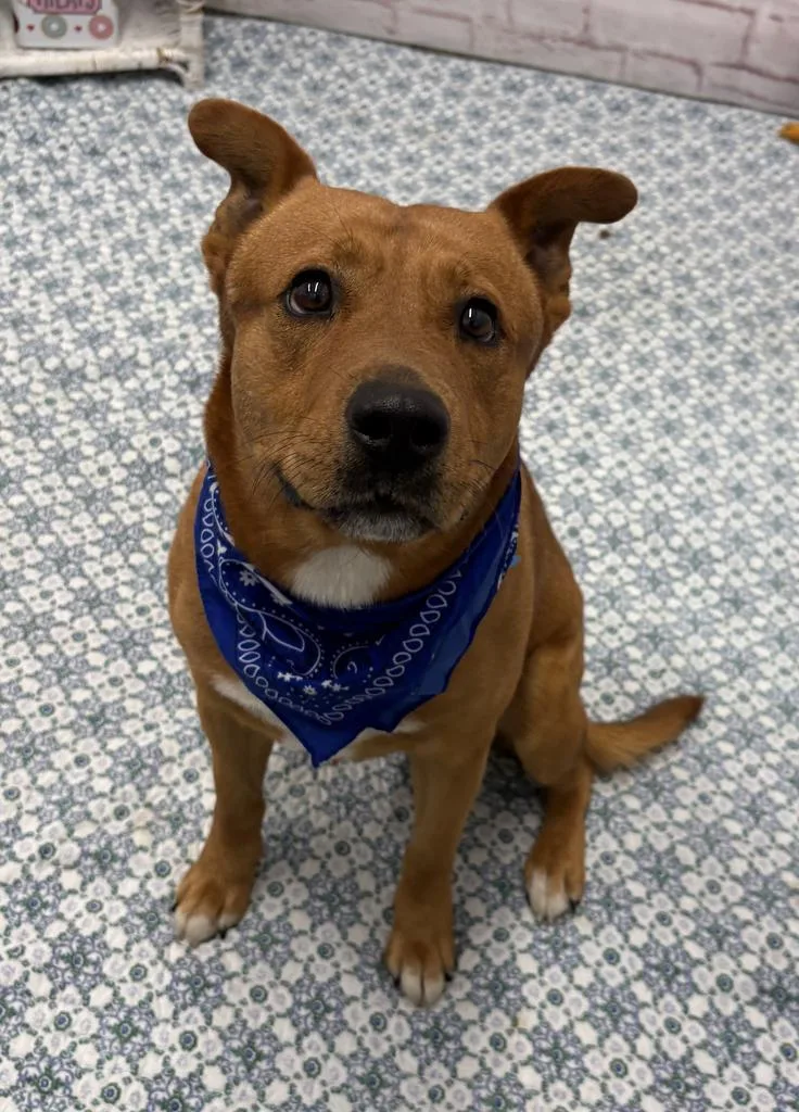 Galapagos thumbnail 6