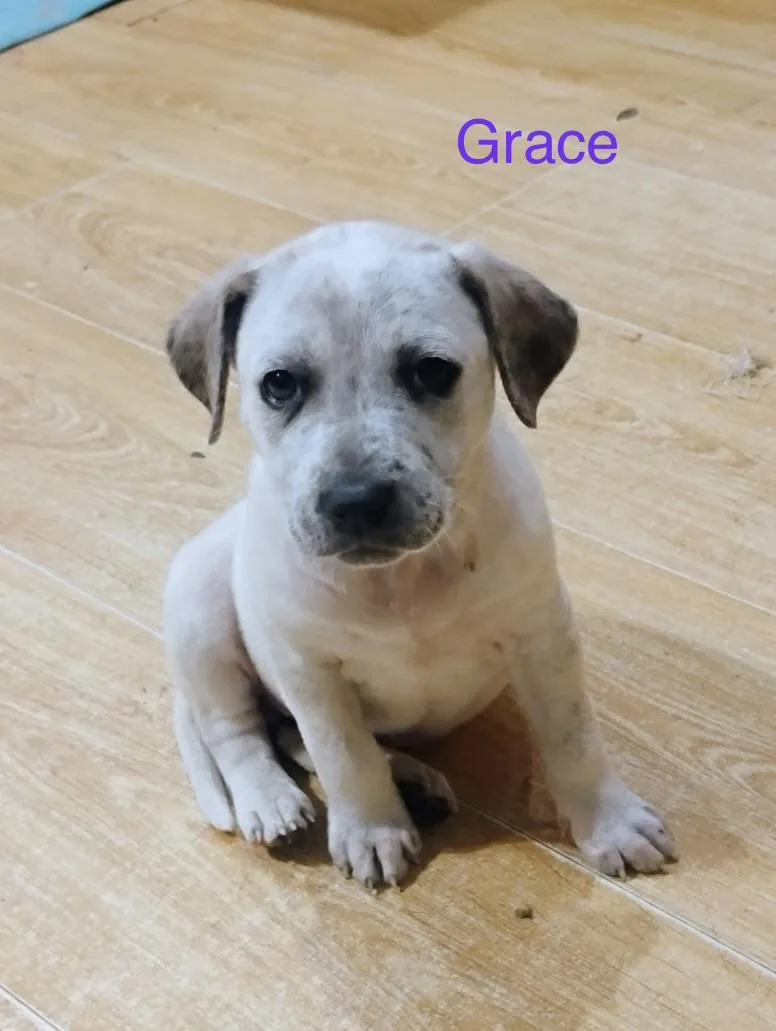 Grace