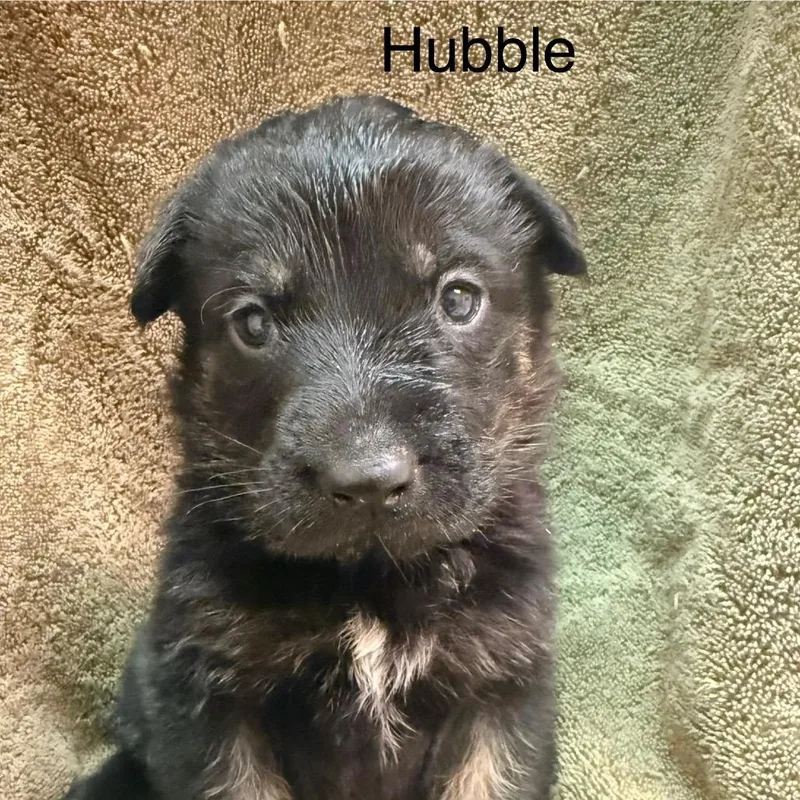 Hubble thumbnail 2