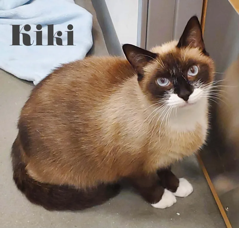 Kiki