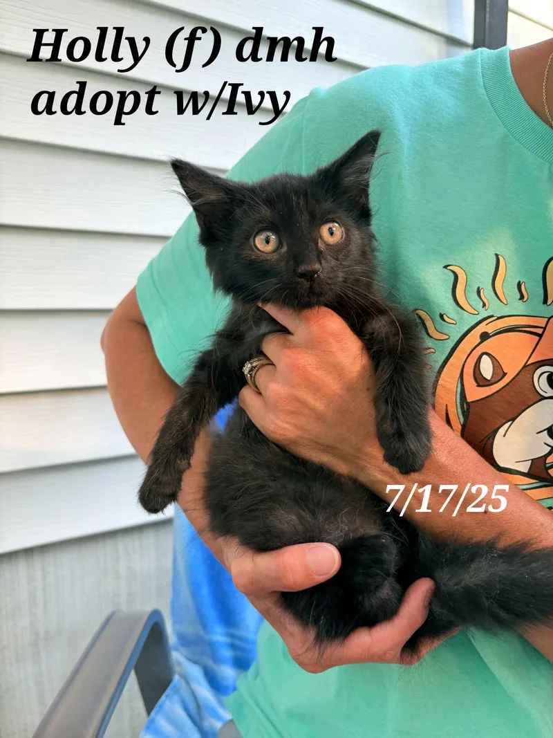 Calyx  And  thumbnail 2