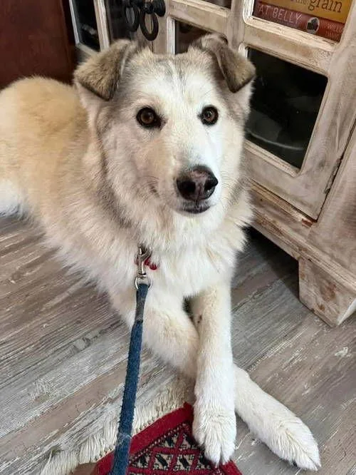 Sallie Mae thumbnail 2