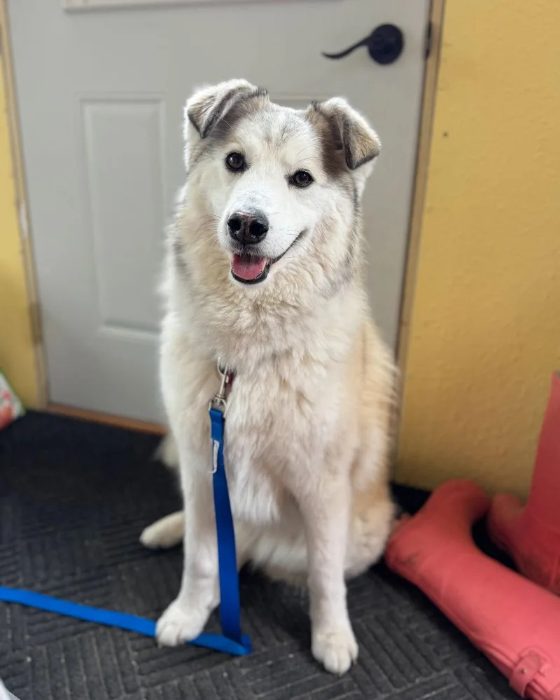 Sallie Mae thumbnail 3