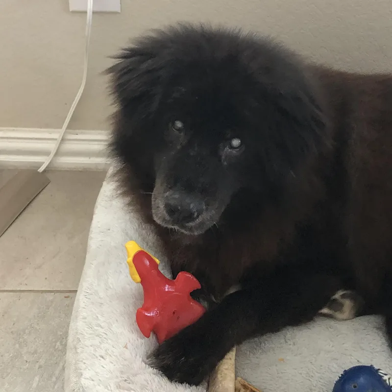 Kristoff thumbnail 2