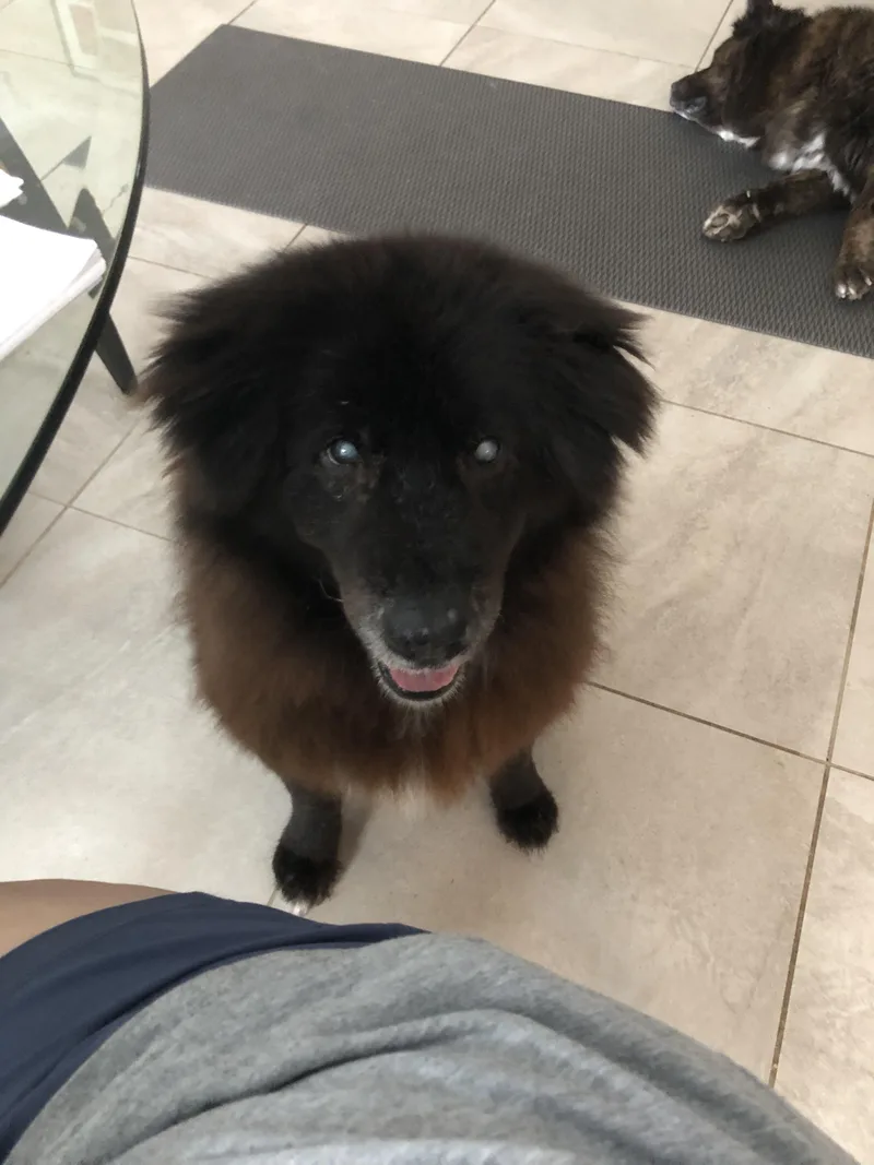 Kristoff thumbnail 3