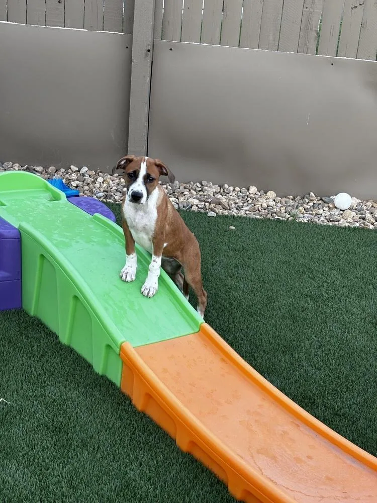 Darcey thumbnail 5