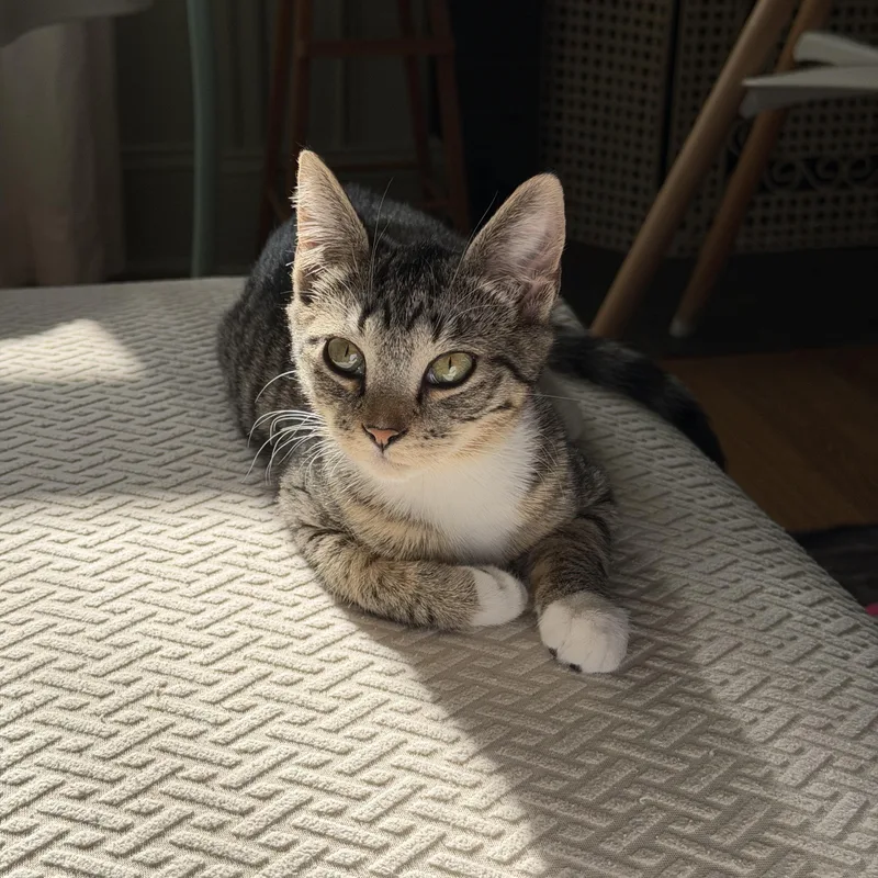 Treasure thumbnail 2