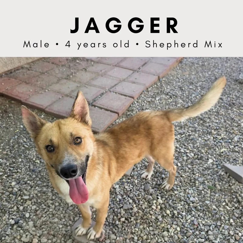 Jagger