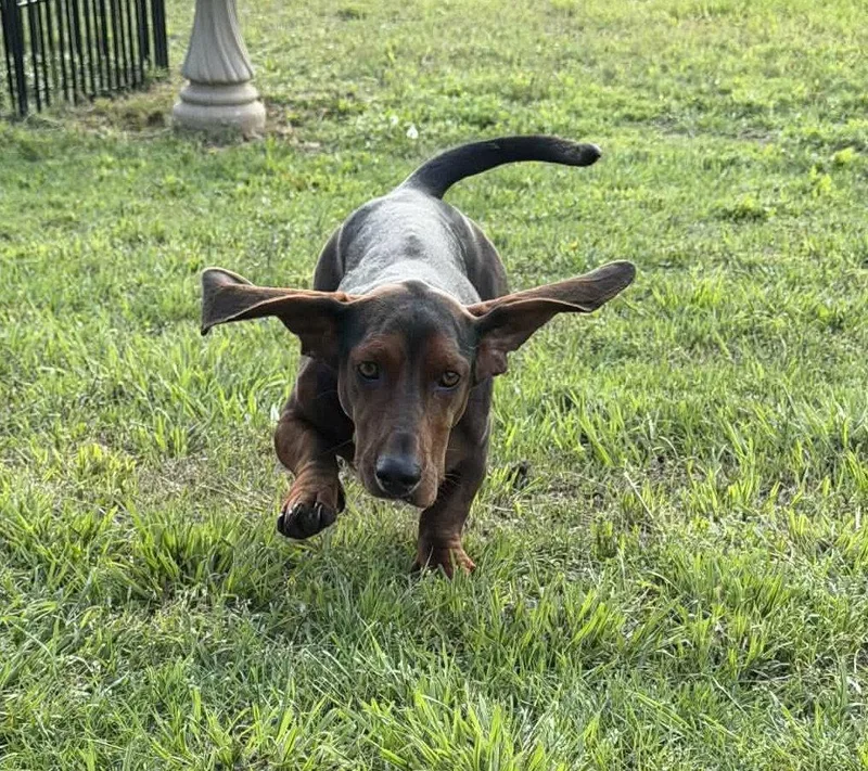 Theodore Aka Theo thumbnail 2