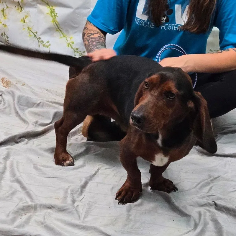 Theodore Aka Theo thumbnail 3