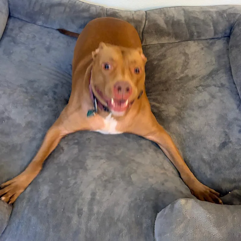 Sadie thumbnail 2