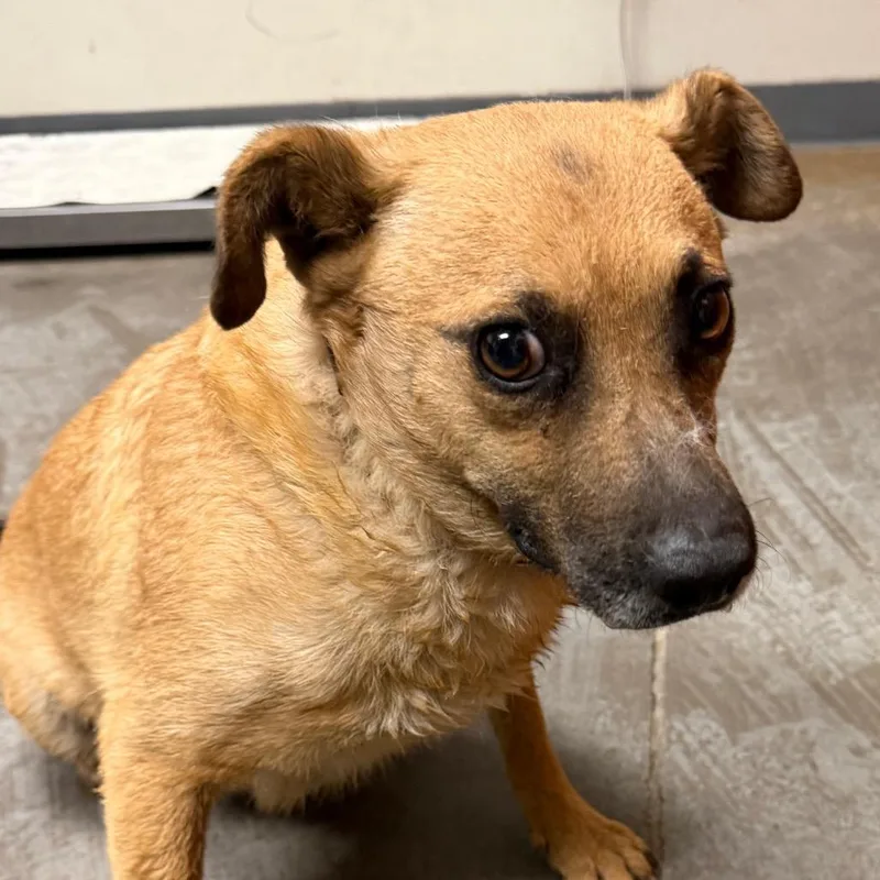 Felicty