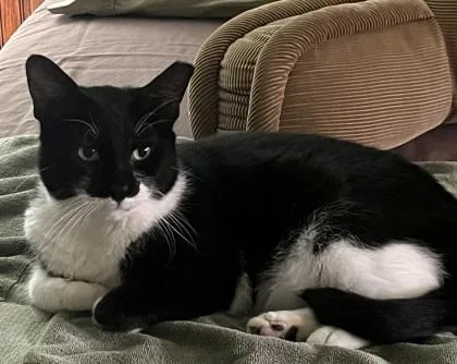 Tyson