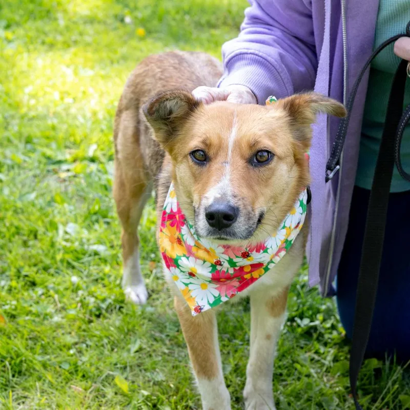 Katie  Female  thumbnail 3