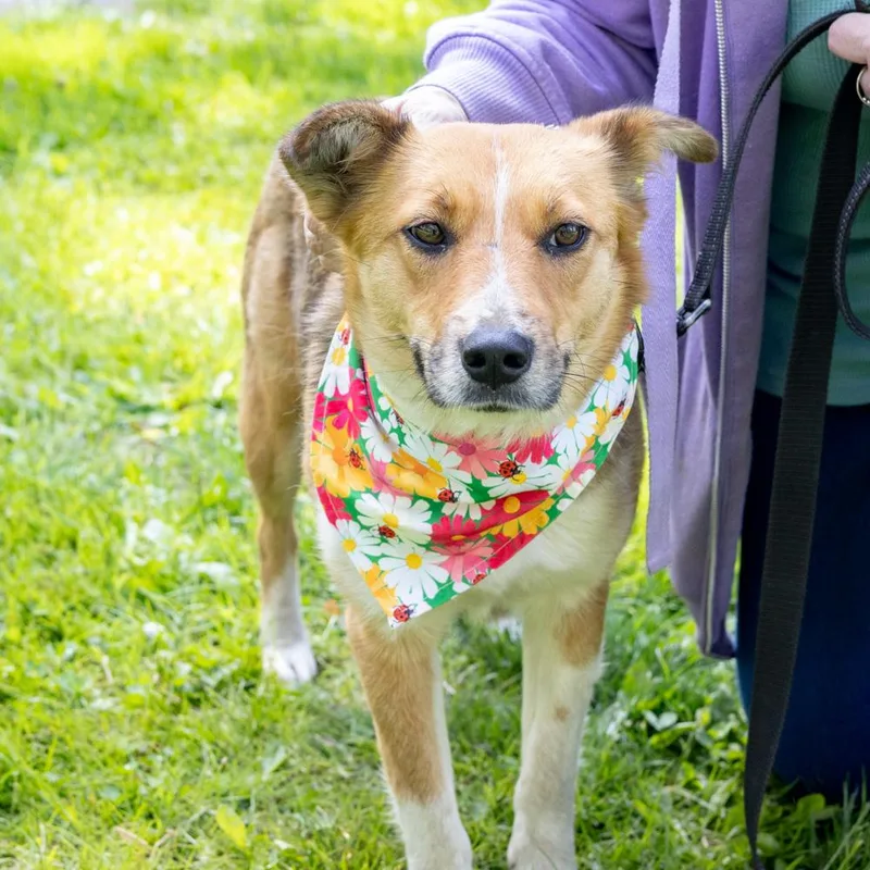 Katie  Female  thumbnail 4