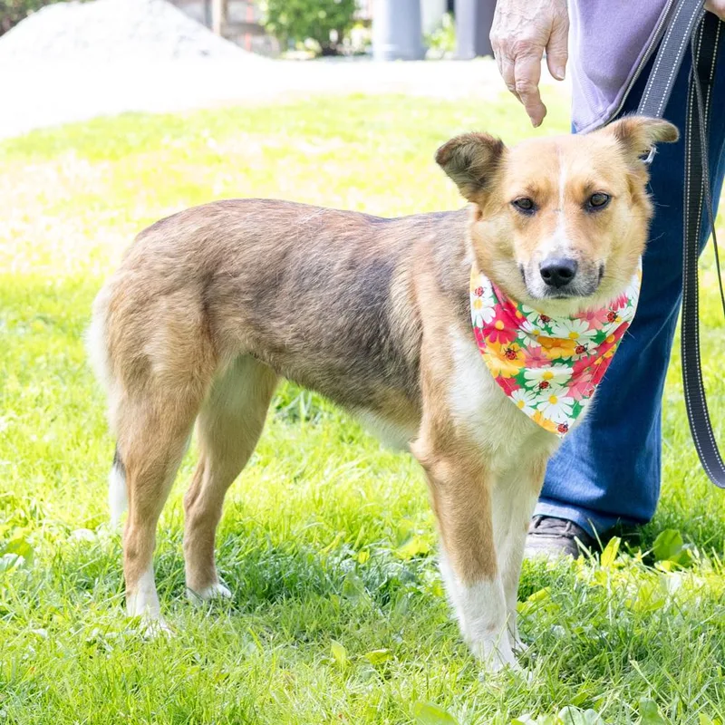 Katie  Female  thumbnail 5