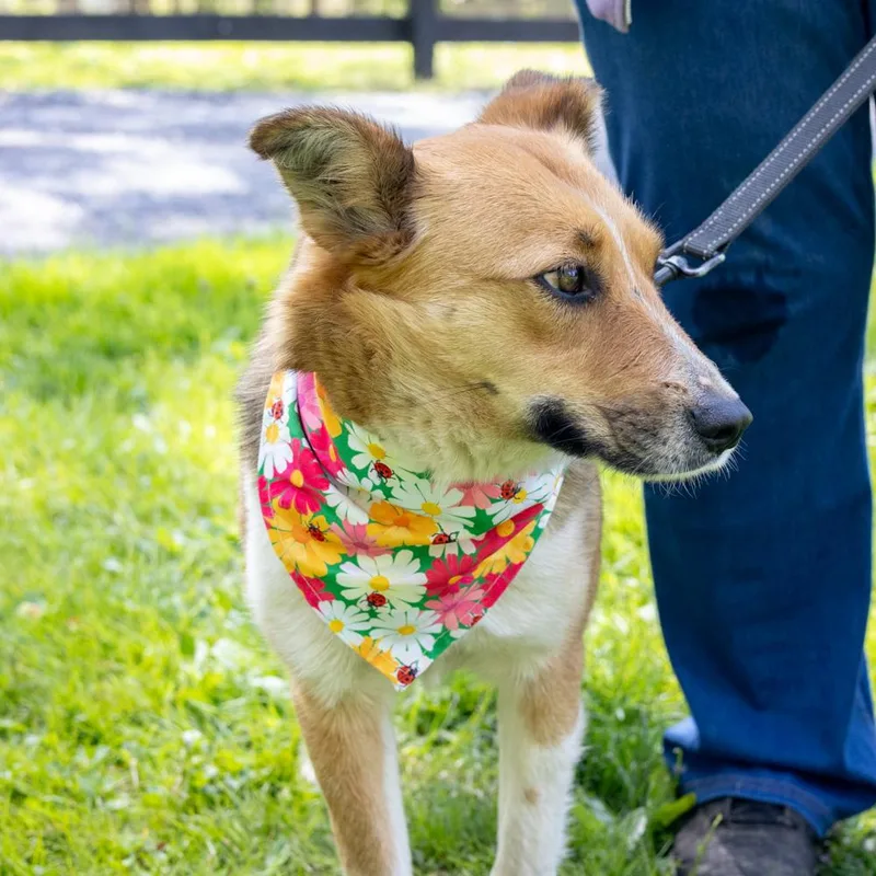 Katie  Female  thumbnail 6